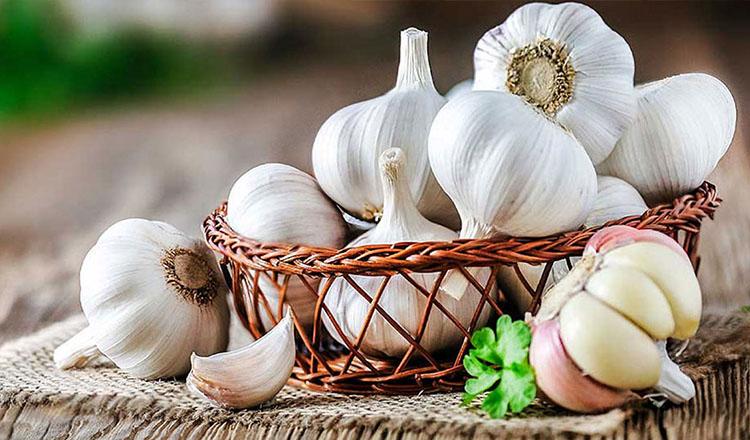 রসুন, একের ভেতর অনেক গুণ