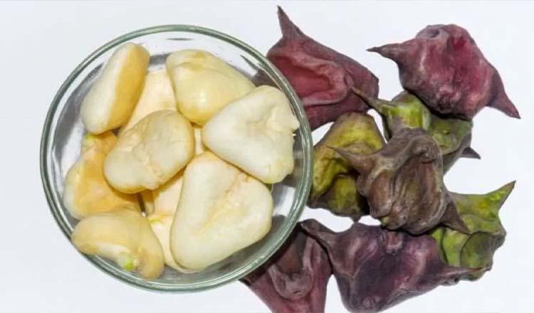 ক্যান্সার প্রতিরোধী প্রকৃতির সিঙ্গাড়া ‘পানিফল’