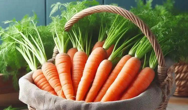 গাজরের উপকারিতা ও পুষ্টিগুণ