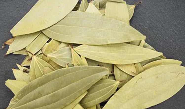 ভেষজগুণেও তেজী ‘তেজপাতা’