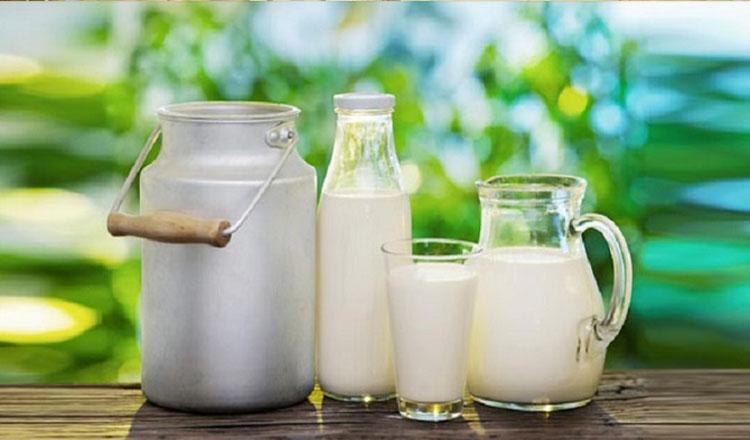 মহিষের দুধের জাদুকরি পুষ্টিগুণ