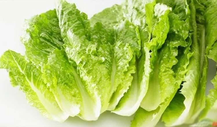 ওজন কমায় খুশকি দুর করে ‘লেটুস পাতা’