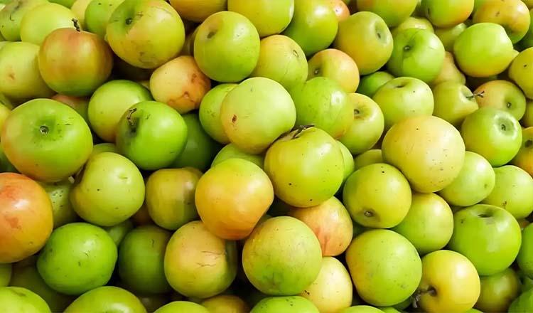 ‘বরই’ ফলের বড়ই গুণ