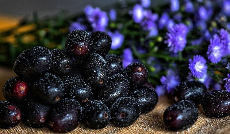 ডায়াবেটিস ও রোগ নিরাময়ে অনন্য ‘জাম’