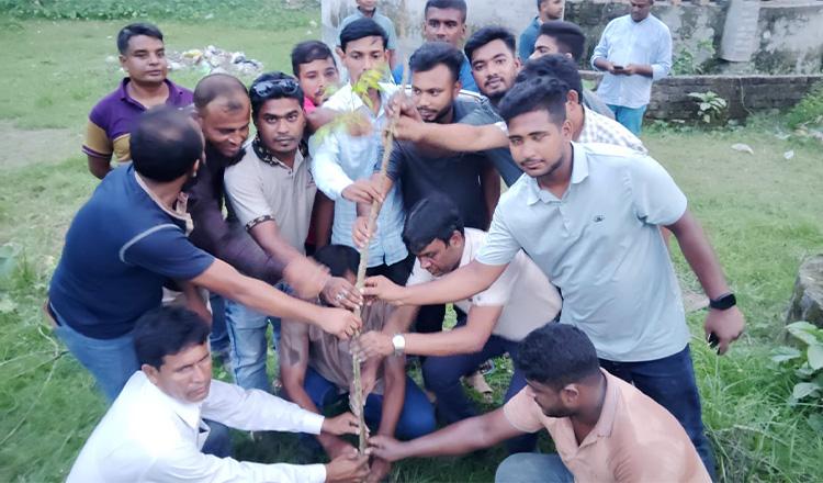 সাঁথিয়ায় যুবদলের বৃক্ষরোপণ কর্মসূচি অনুষ্ঠিত